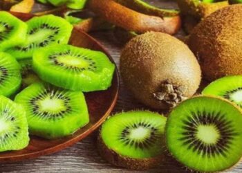 Untitled design (22)