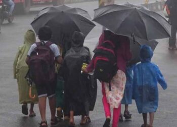 Untitled design (31)