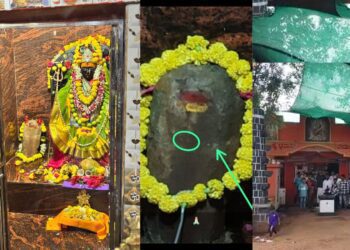 Untitled design (32)