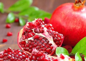 Untitled design (74)