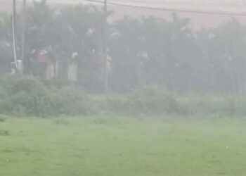 Untitled design (75)