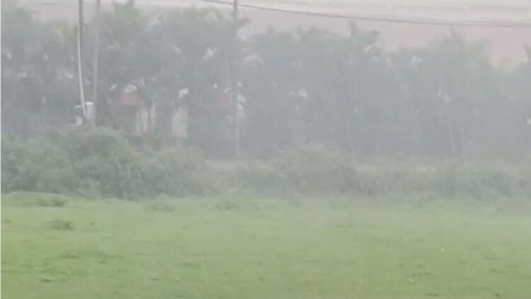 Untitled design (75)