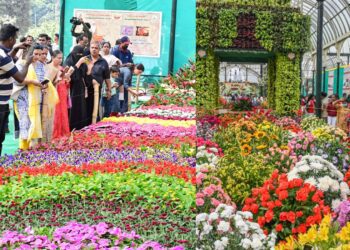 Untitled design (89)