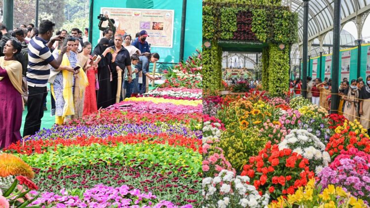 Untitled design (89)