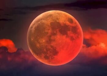 Untitled design 2025 09 07t084056.404