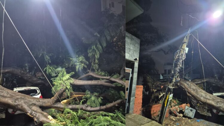 Untitled design 2025 09 11t065940.028