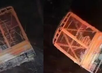 Untitled design 2025 09 21t123327.012