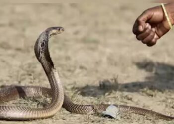 Untitled design 2025 09 22t131525.296