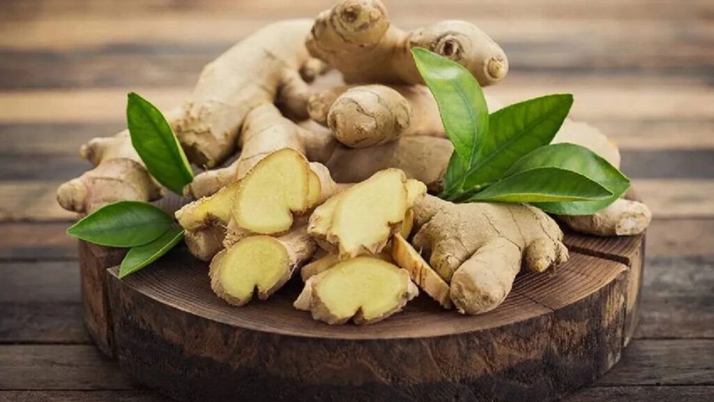 Untitled design 2025 09 24t071041.914