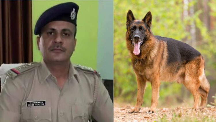 Untitled design 2025 09 24t113356.070