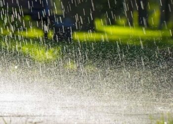 Untitled design 2025 09 30t162114.761