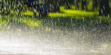 Untitled design 2025 09 30t162114.761