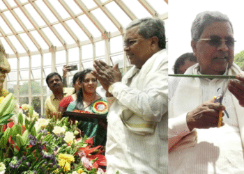 Untitled design (23)