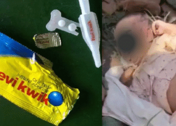 Untitled design (52)