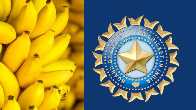 Untitled design (55)