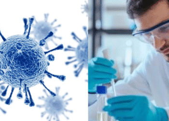 Untitled design (66)