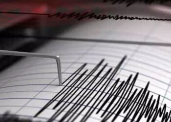 Untitled design (70)