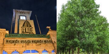 Untitled design (95)