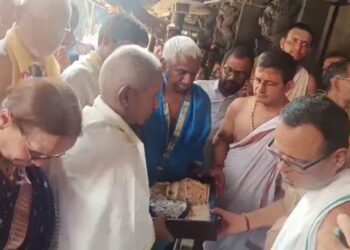 Your paragraph text (5)