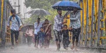 Your paragraph text (7)