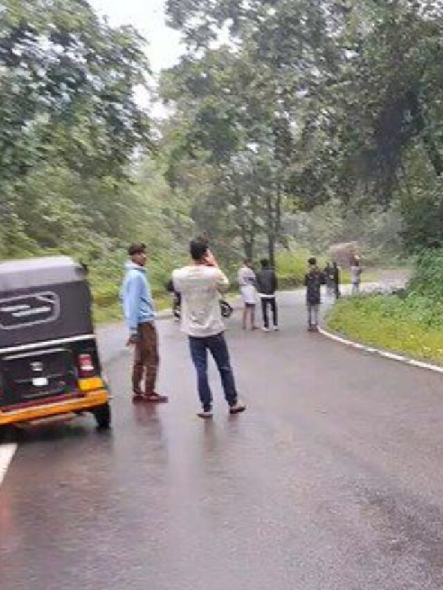 ರಸ್ತೆಗೆ ಅಡ್ಡನಿಂತ ಗಜರಾಜ ಸಂಚಾರ ಅಸ್ತವ್ಯಸ್ತ…!