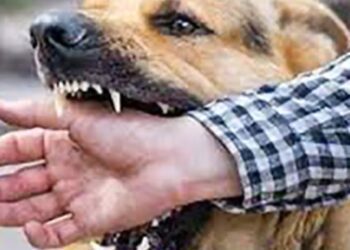 Web 2025 09 24t230309.160