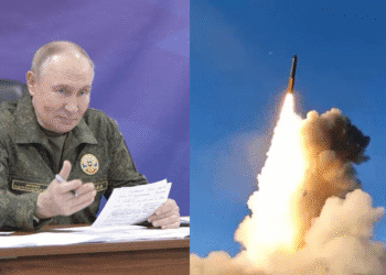 Untitled design (100)