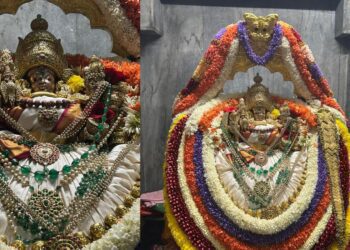 Untitled design (15)