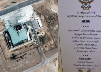 Untitled design (15)