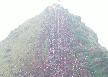 Untitled design (17)