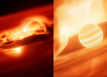 Untitled design (18)