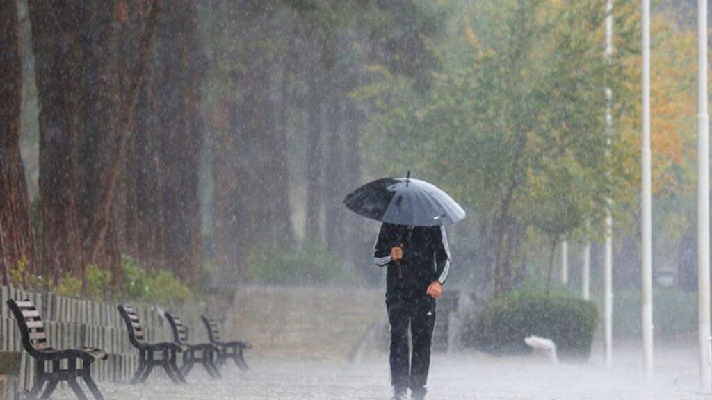 Untitled design 2025 10 01t090412.197