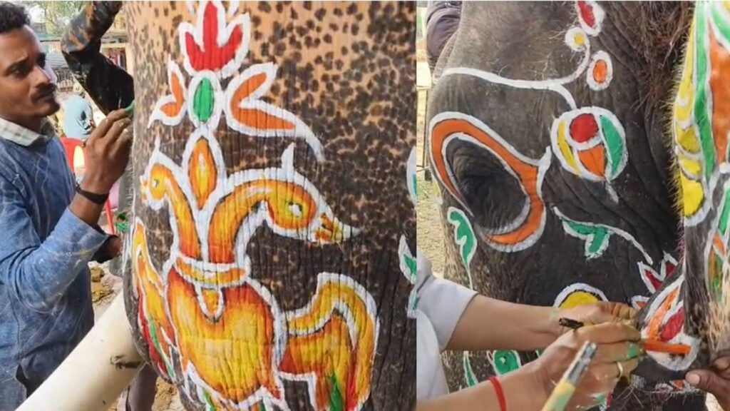 Untitled design 2025 10 02t085348.285