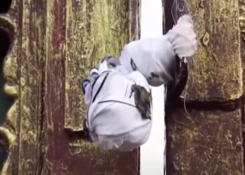 Untitled design 2025 10 08t153208.820