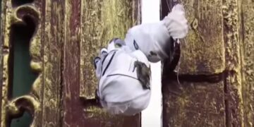 Untitled design 2025 10 08t153208.820