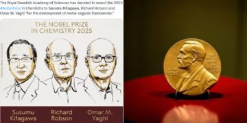 Untitled design 2025 10 08t162014.220