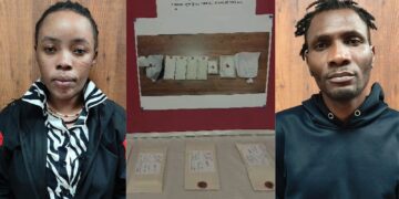 Untitled design 2025 10 14t130951.901