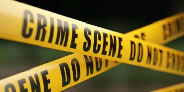 Untitled design 2025 10 16t172505.981