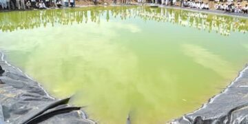 Untitled design 2025 10 16t233525.627