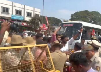 Untitled design 2025 10 18t133623.554