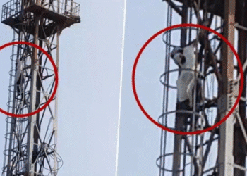 Untitled design 2025 10 19t164907.667