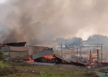 Untitled design 2025 10 20t234442.916