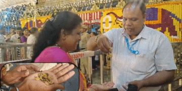 Untitled design 2025 10 21t201045.143