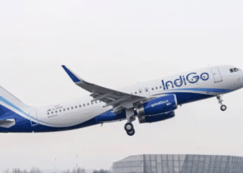 Untitled design 2025 10 22t231951.350