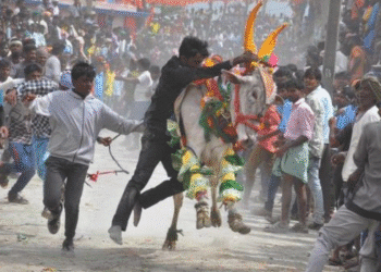 Untitled design 2025 10 24t083405.302