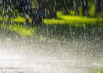 Untitled design 2025 10 28t073906.626