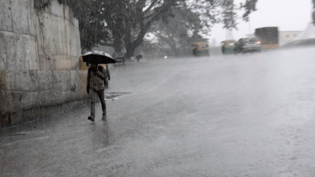 Untitled design 2025 10 29t080647.299