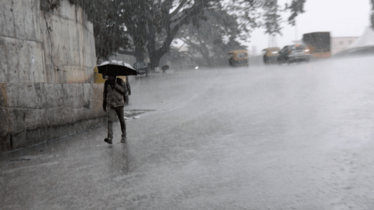 Untitled design 2025 10 29t080647.299