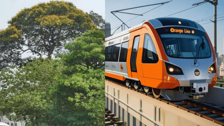 Untitled design 2025 10 29t220748.822