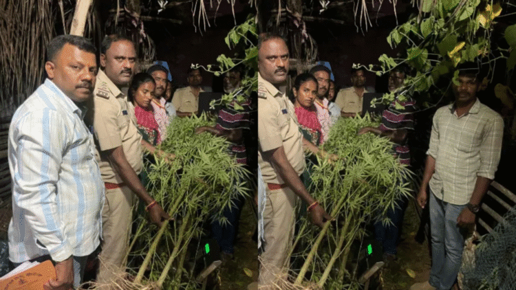 Untitled design 2025 10 30t135352.986